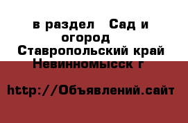  в раздел : Сад и огород . Ставропольский край,Невинномысск г.